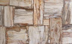 Petrified wood ivory
